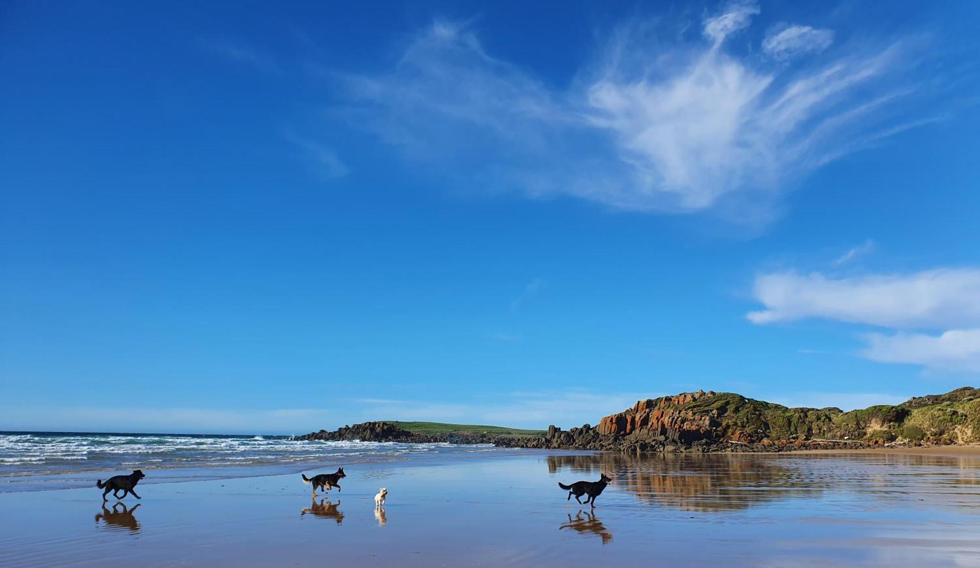 Hawley House Hotel Port Sorell Luaran gambar